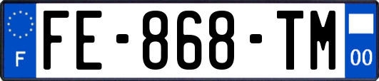 FE-868-TM