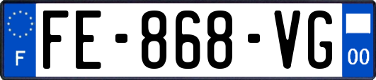 FE-868-VG