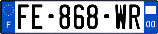FE-868-WR