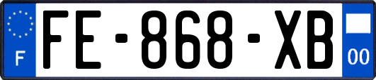 FE-868-XB