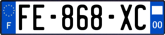 FE-868-XC