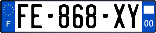 FE-868-XY