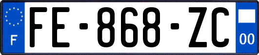 FE-868-ZC