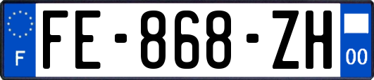 FE-868-ZH