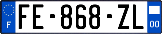 FE-868-ZL