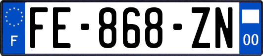 FE-868-ZN