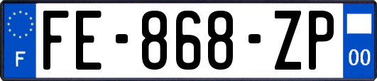 FE-868-ZP