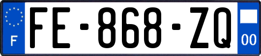 FE-868-ZQ