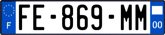 FE-869-MM