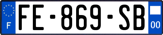 FE-869-SB