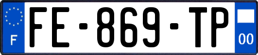 FE-869-TP