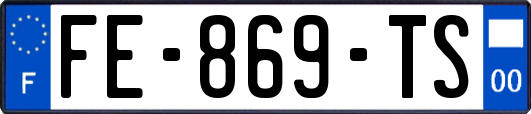 FE-869-TS