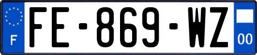 FE-869-WZ