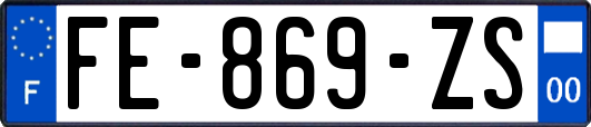 FE-869-ZS