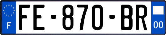 FE-870-BR
