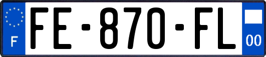 FE-870-FL