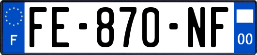 FE-870-NF