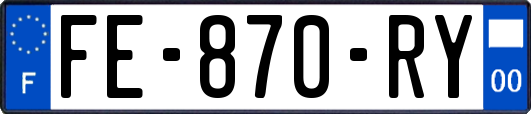 FE-870-RY