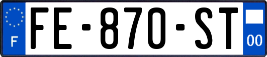 FE-870-ST
