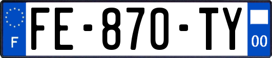 FE-870-TY