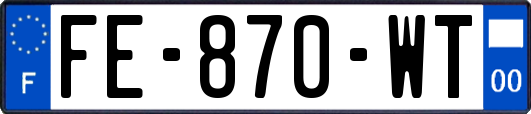 FE-870-WT