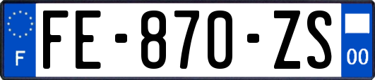 FE-870-ZS