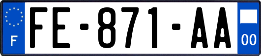 FE-871-AA