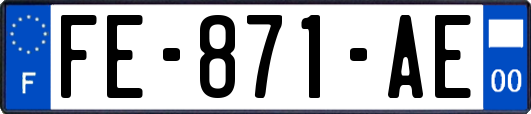 FE-871-AE