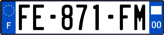 FE-871-FM