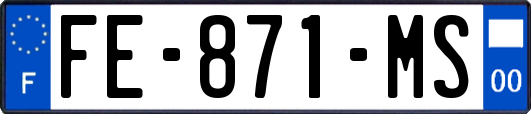 FE-871-MS