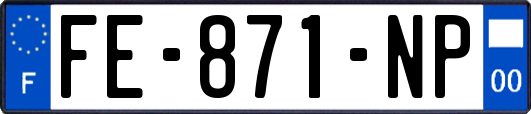 FE-871-NP