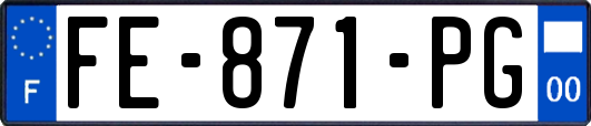 FE-871-PG