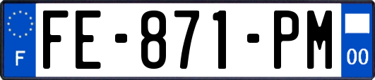 FE-871-PM