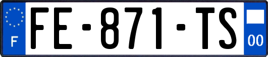 FE-871-TS