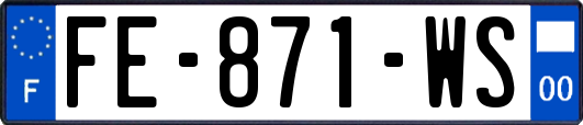 FE-871-WS