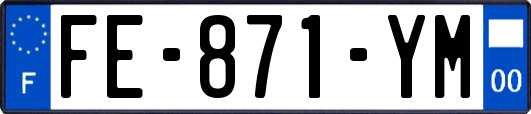 FE-871-YM