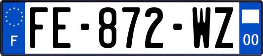 FE-872-WZ