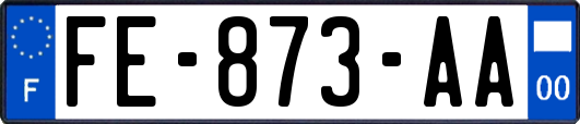 FE-873-AA