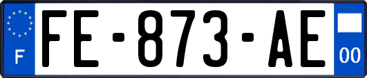 FE-873-AE