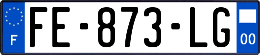 FE-873-LG