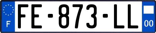 FE-873-LL