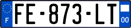FE-873-LT