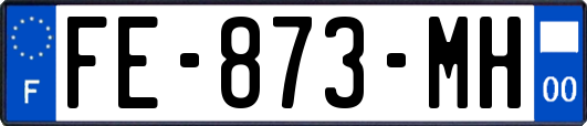 FE-873-MH
