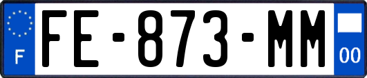 FE-873-MM