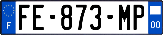 FE-873-MP