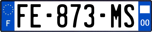 FE-873-MS