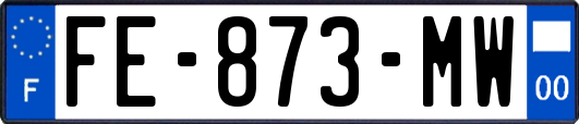 FE-873-MW