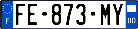 FE-873-MY