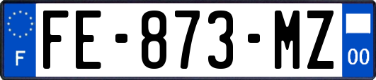 FE-873-MZ