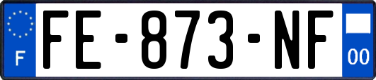 FE-873-NF